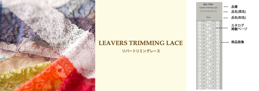 リバーレース一覧