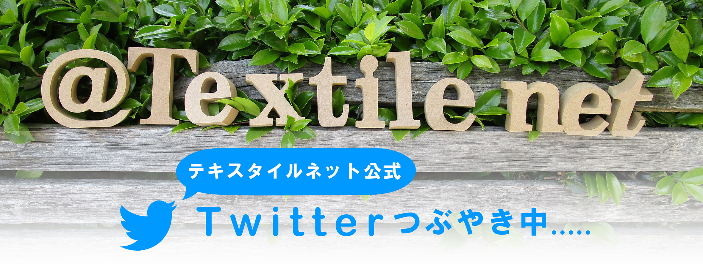 twitter