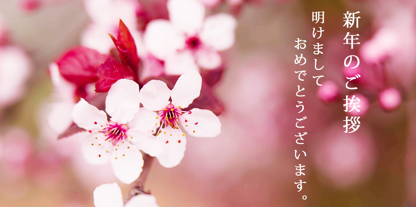 2021 a happy new year