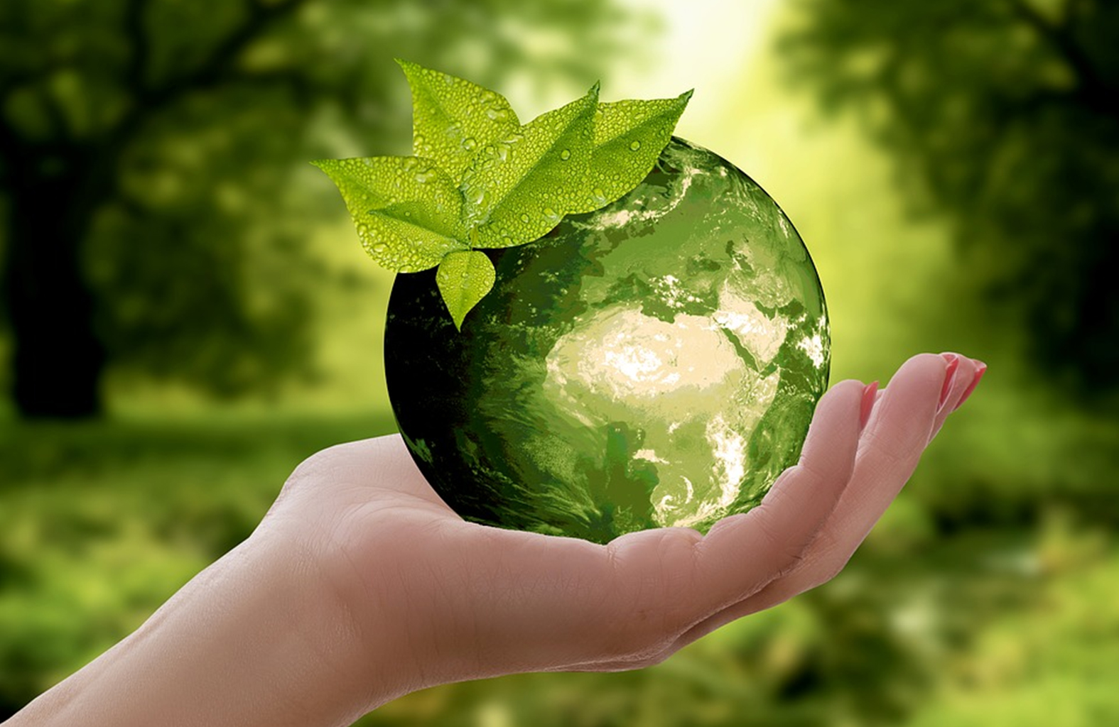 recycled-polyester-sustainability