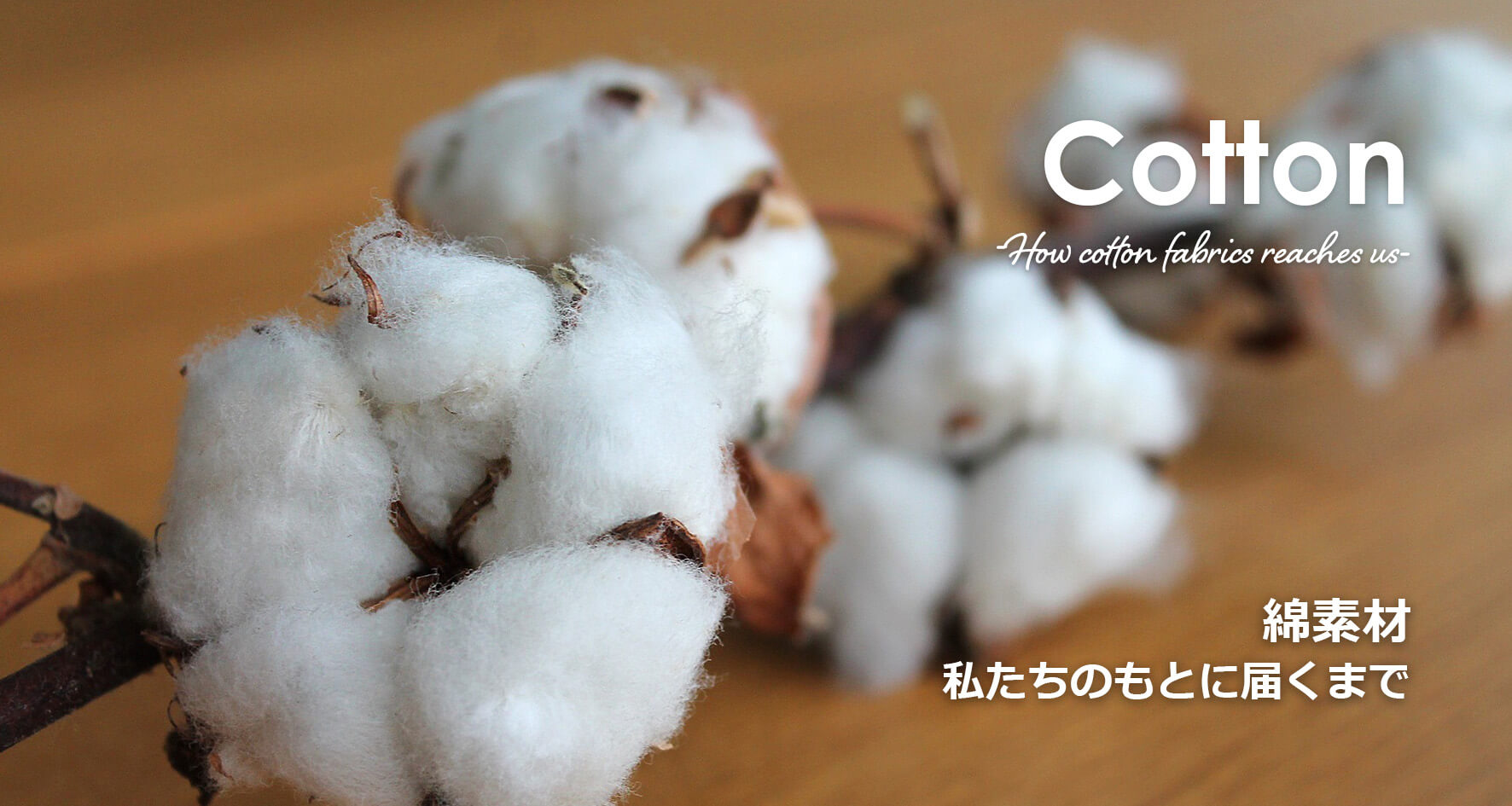 cotton