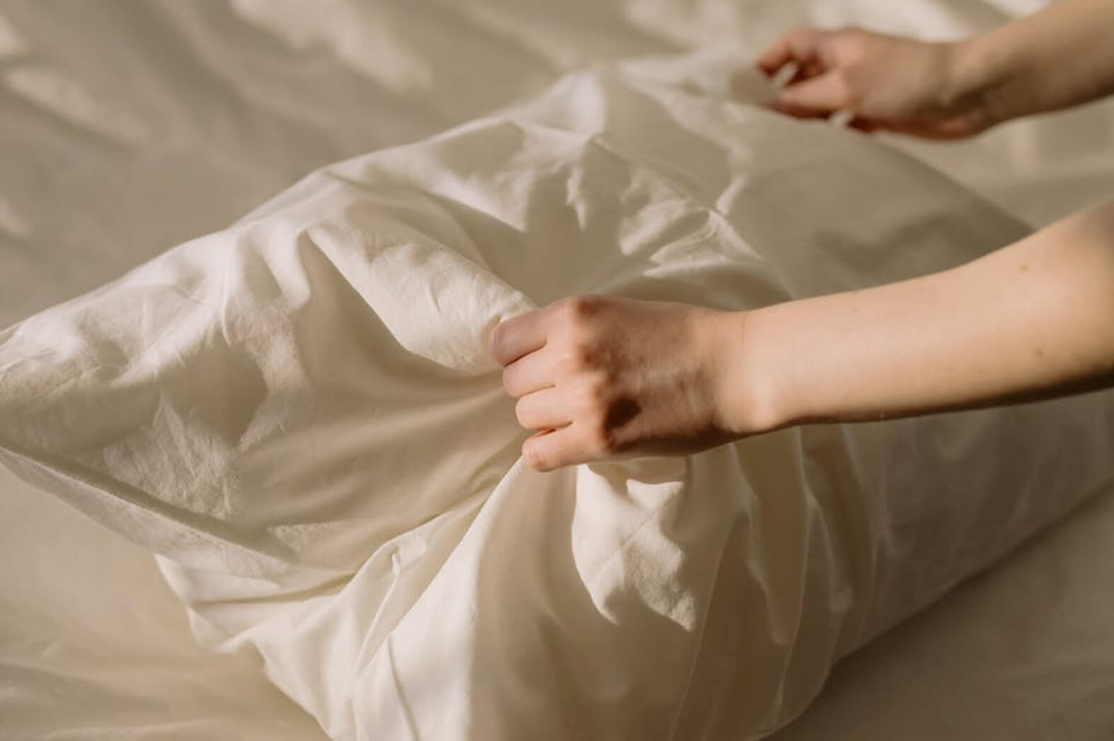 organic-cotton-オーガニックコットンとは？