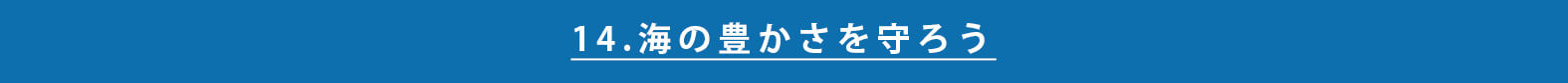 sdgs-japanese-approach