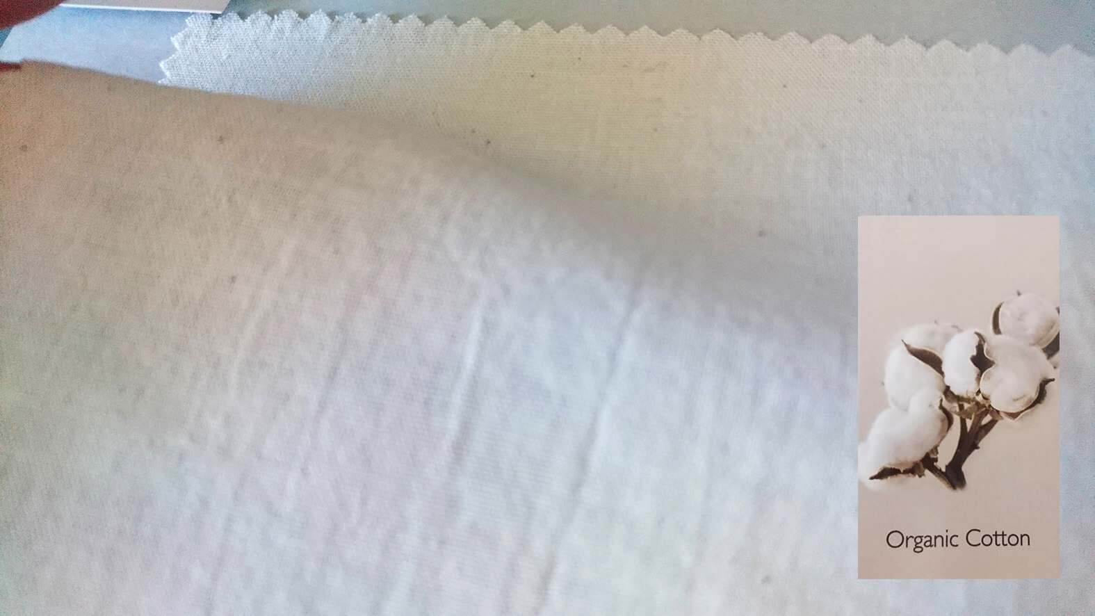 organic-cotton-オーガニックコットンとは？