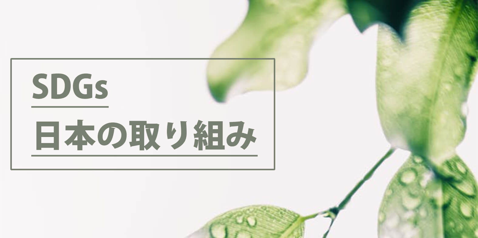 sdgs-japanese-approach
