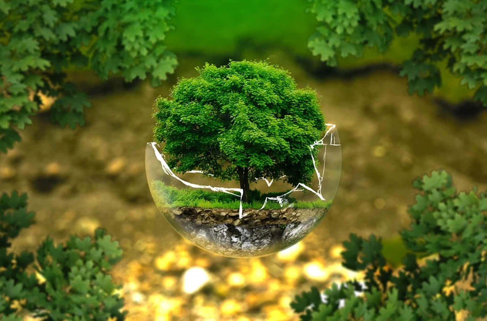 ecology-economy