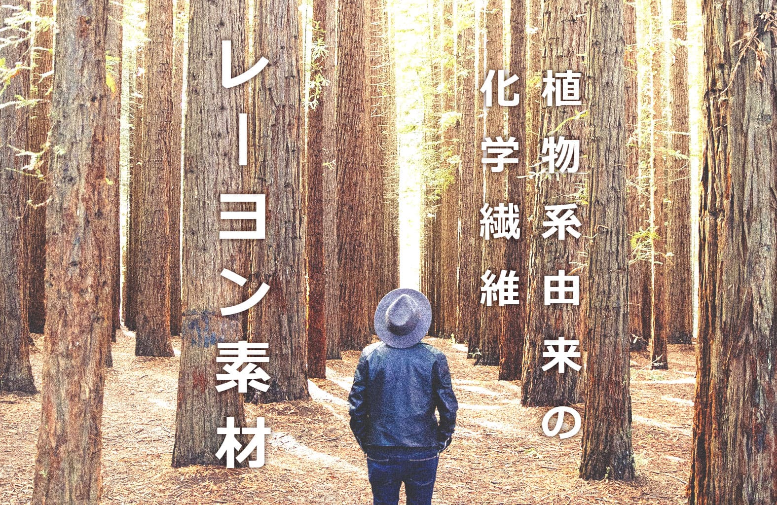 rayon-sozai