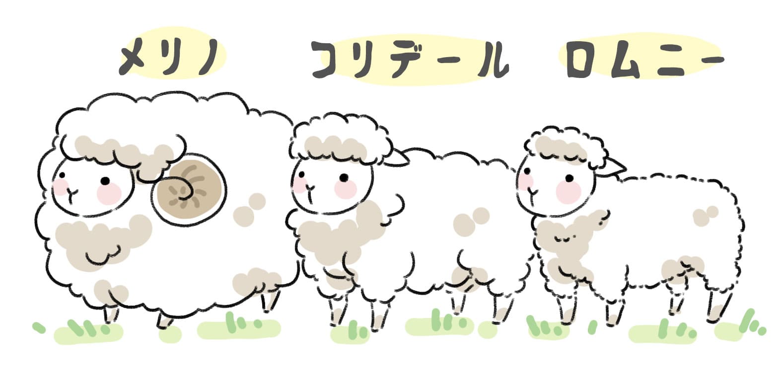 wool-fabric
