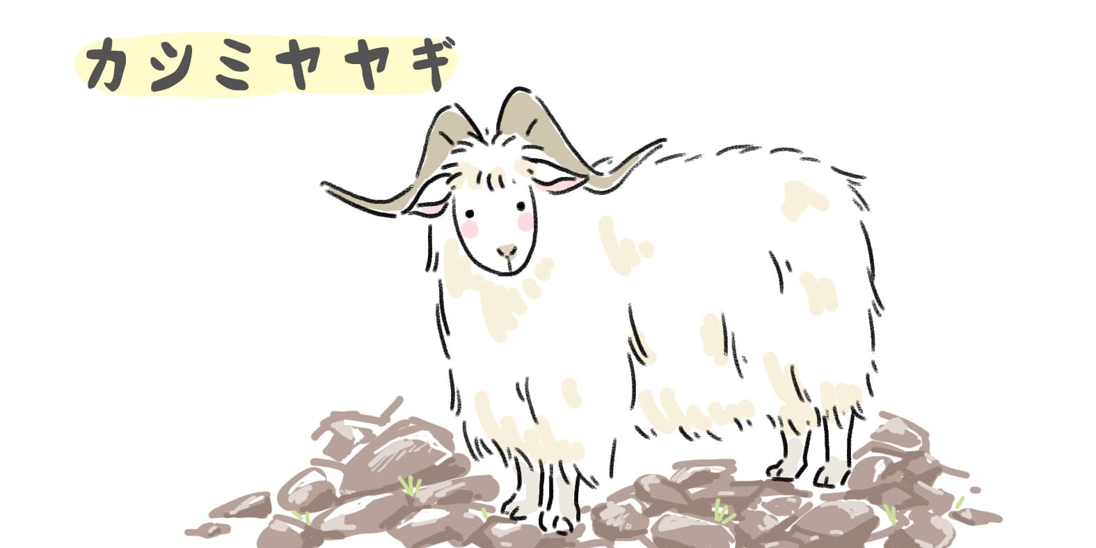 wool-fabric