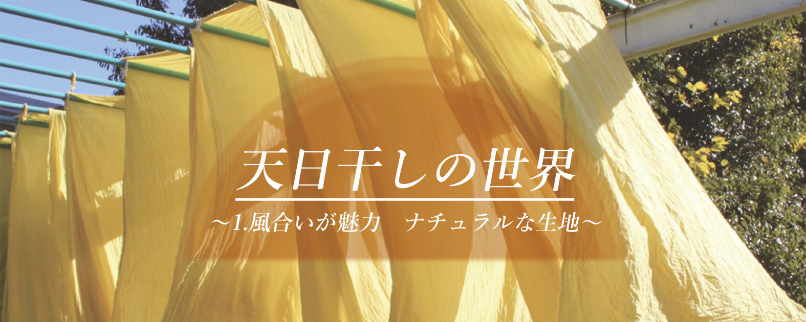 seriesーsun-dried-1-natural