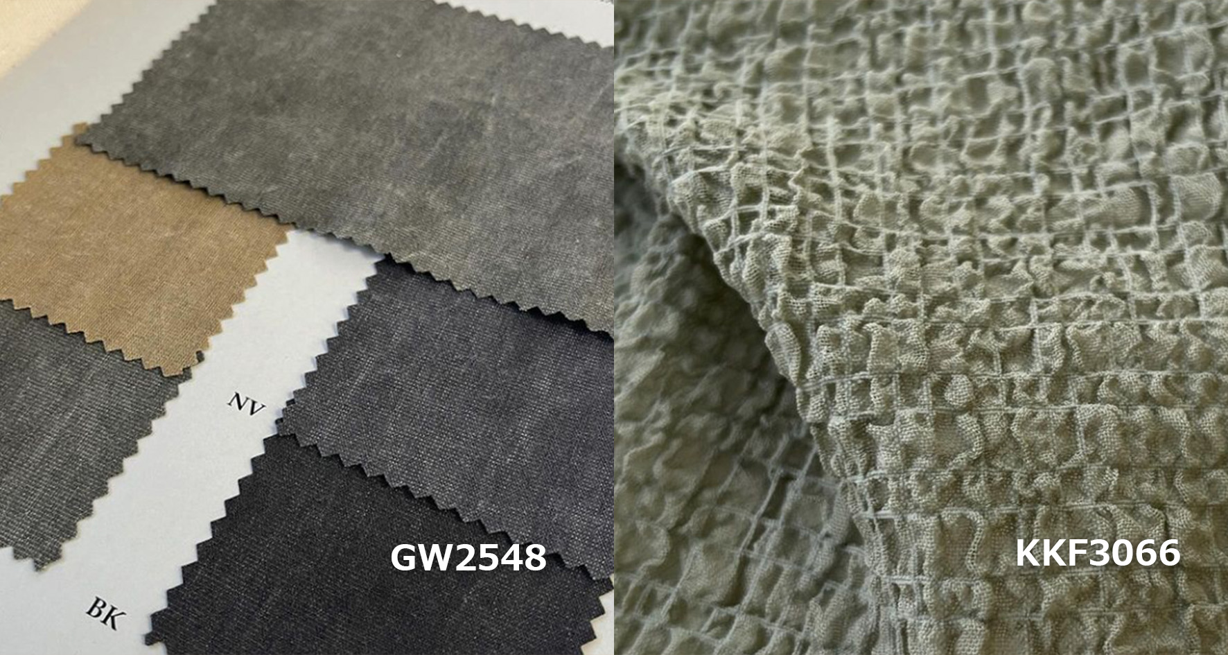 2024trendcolor